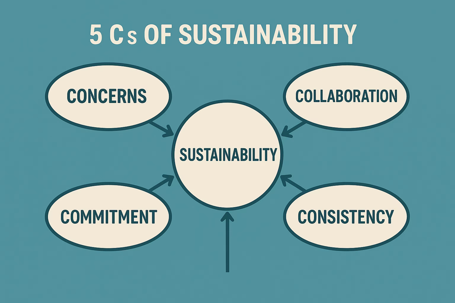 What are the 5 C’s of sustainability?